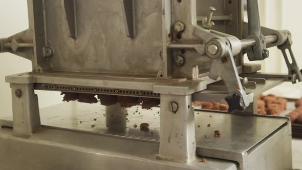 Making chocolate truffles in a candy factory