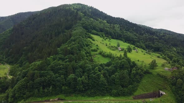 Beautiful green mountain landscape with trees in Carpathians, Ukraine