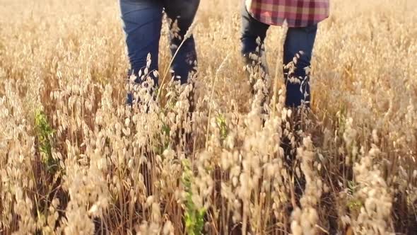 Walking Through Wheat Meadow