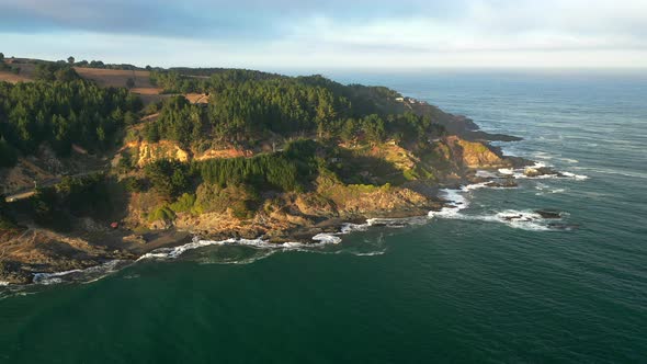 aerial shot, Buchupureo, Cobquecura, Provincia de Itata, Región de Ñuble, forest and coastline surf