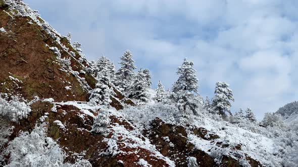 Fresh snow covers the landscape near Boulder Colorado