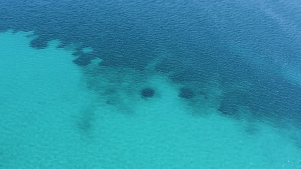 Aerial tilt down of border between sand and seagrass in clear blue sea