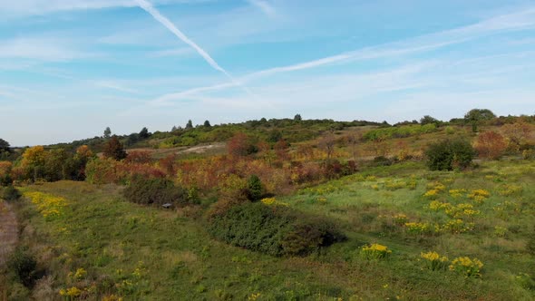 Autumnal wild meadow.