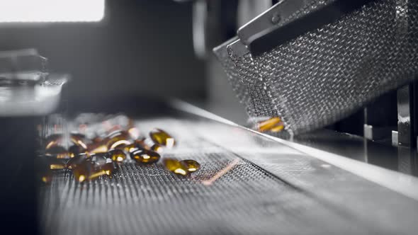 Yellow Gel Capsules Move on the Conveyor Belt of the Medical Machine