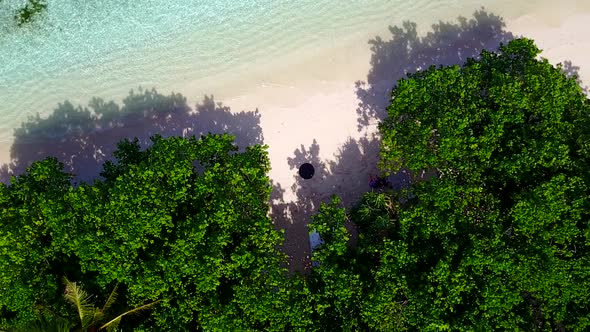 Aerial drone nature of exotic bay beach by water with sand background