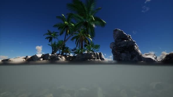 Brown Muddy Water and Palms on Island