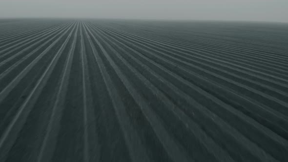 Flight Over Agricultural Arable Land Fields in Fog