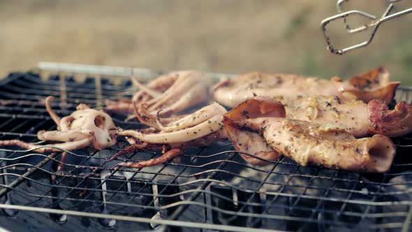 Fresh Octopus Fried Grill. Fried Grill Seafood Cuisine. Delicious Poulpe Grilled Roast Sea Food.