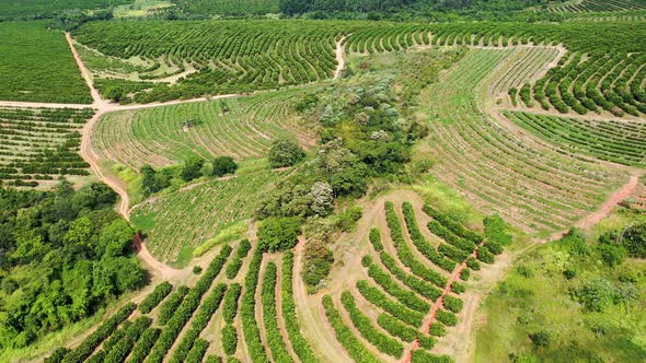 Farming landscape at countryside rural scenery.