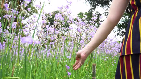 Young Woman Rubbing and Touching the Purple Flower While Walking Along the Garden