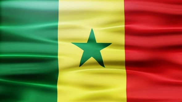Senegal Flag Waving