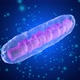 3D rendered Animation of a Mitochondria Cell - VideoHive Item for Sale