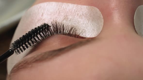 Eyelash Extension Procedure. Woman Eye with Long Blue Eyelashes. Ombre Effect. Close Up, Selective