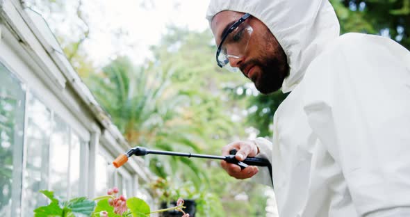 Man spraying pesticides over plant