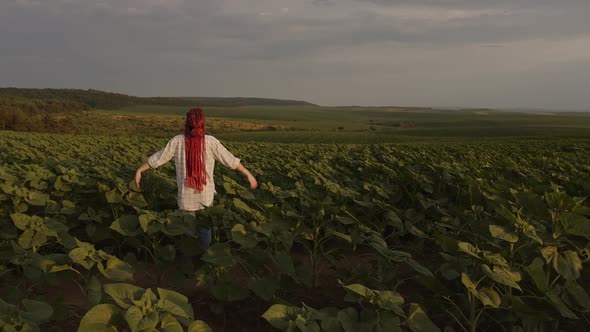 Redhaired Girl in Plaid Shirt Stands in the Sunflower Field