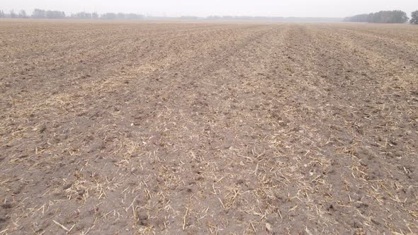 Land in a Plowed Field in Autumn