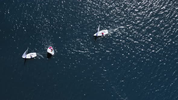 Top view of regatta of small boats on the lake in summer, Poland, aerial view