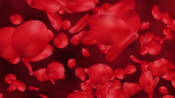 3D Blood Cells In Vein