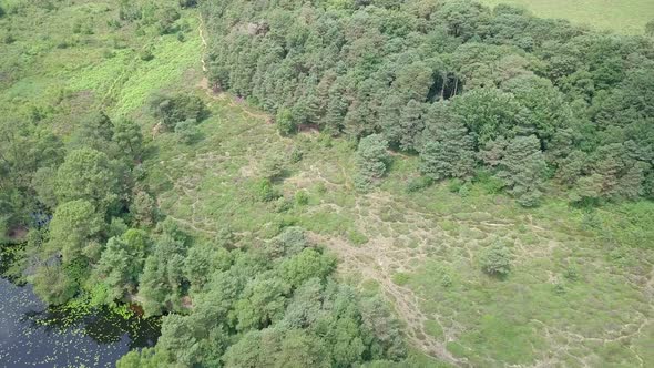 4k Aerial Pan over a lush forest in England