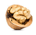 walnut half  isolated on the white background - PhotoDune Item for Sale