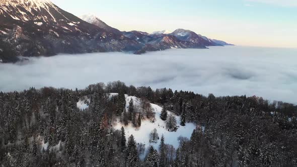 Flying over a foggy winter forest