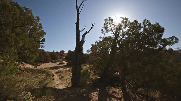 Hiking through the desert in Escalante on sunny day