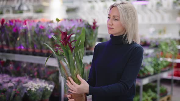 A Woman Chooses an Orchid for Home Gardening