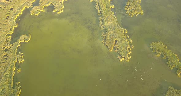 Aerial View of Tuzly Estuary National Nature Park Near By Black Sea Coast Ukraine