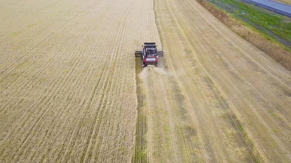 Harvester Machine To Harvest Wheat Field Working. Combine Harvester Agriculture Machine Harvesting