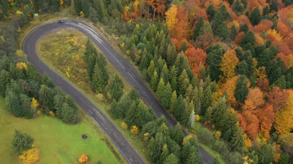 Aerial View Of Mountain Road At The Autumn Forest 4