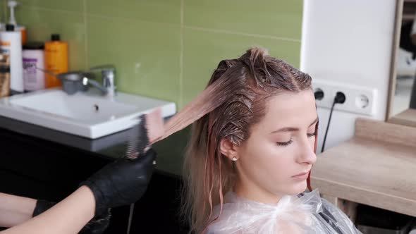 Closeup of Process of Dyeing Hair By Hairdresser in Beauty Salon