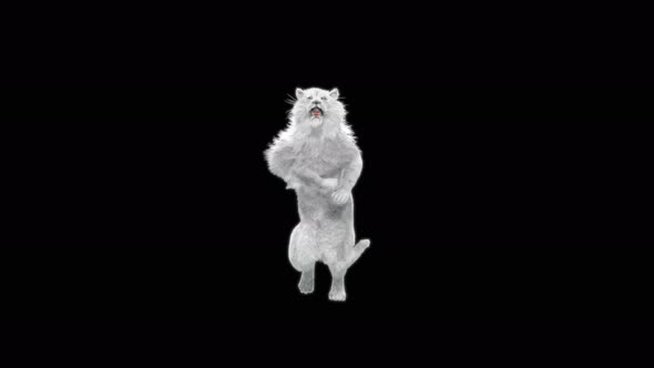 65 White Lion Dancing 4K