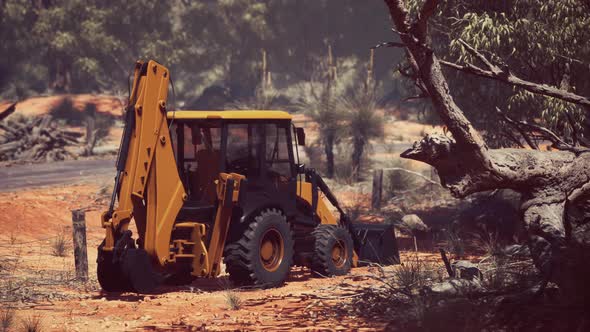 Excavator Tractor in Bush Forest