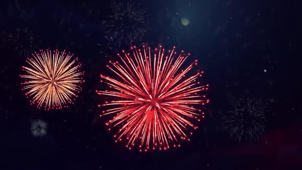 Colorful Fireworks Exploding in Night Sky . Celebration event.