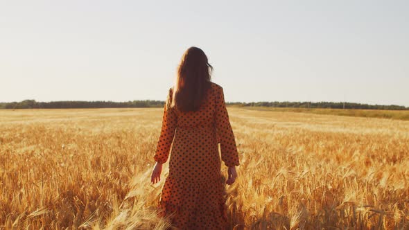 Pregnant woman in the rays of the sunset in the field