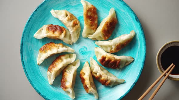 Traditional Asian Dumplings Gyozas on Turqoise Ceramic Plate