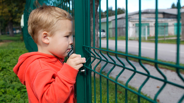 Little Boy Peering Through A Wire Fence