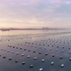 Oyster Farm during in day time - VideoHive Item for Sale