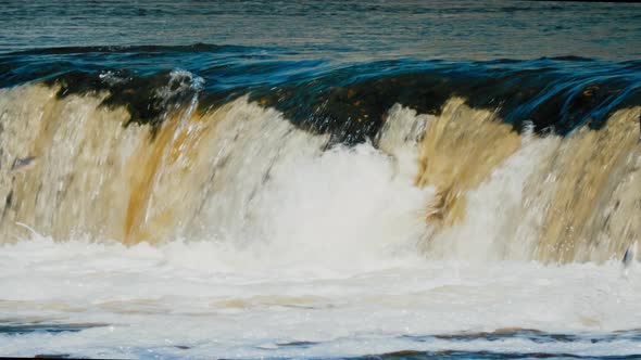 Flying fish in Kuldiga Waterfall on the rapids of Venta