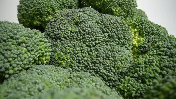 Fresh Green Broccoli 40