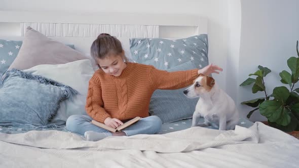 Girl in a Knitted Sweater Sits in a Cozy Bedroom Reading a Book with Her Beloved Little Dog Jack