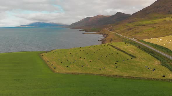 Beautiful Landscape of Iceland Fjord in Summer Season Aerial View From Drone