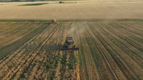 Running Harvesters At Sunset