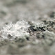 Snow Melting Time Lapse (2-Pack) - VideoHive Item for Sale