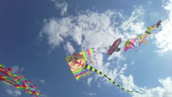 Various Kites In The Sky
