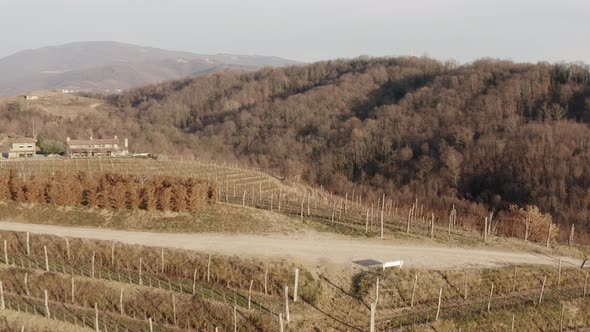 Drone view of vineyards during late autumn