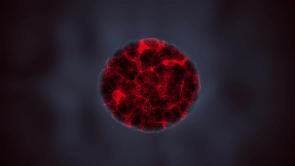 The Biological Concept of Cell Division