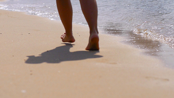 Walking on the Sandy Beach alt