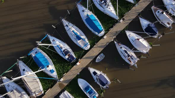 Aerial lowering on sailboats docked inline surrounded by aquatic perennial plants in Olivos Port, Bu