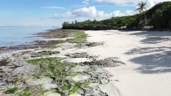 Empty Beach on Zanzibar Island Tanzania Slow Motion